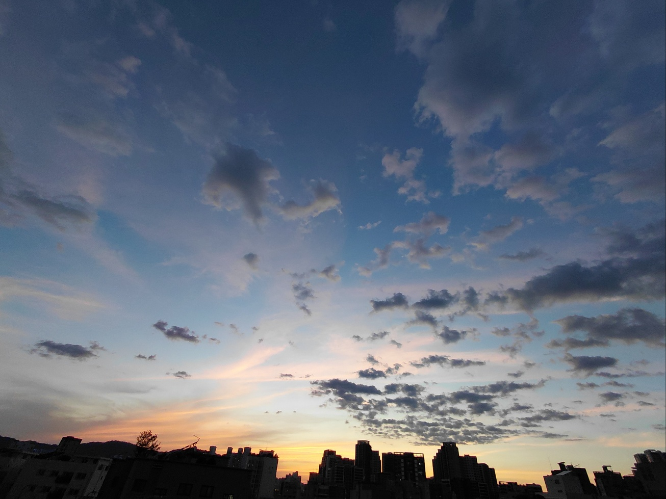1782214632_d606163c316ddfe2c2a9.png