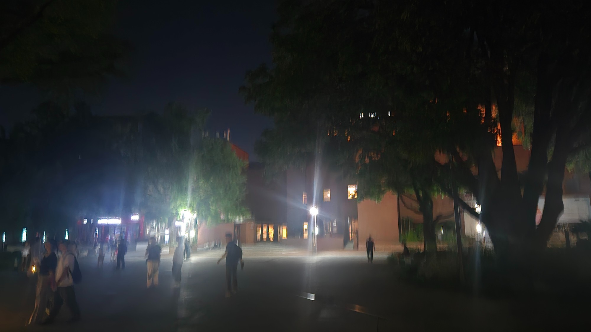 1782648876_9c052c85f33997dda5a4.jpg