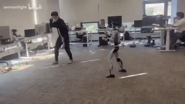 1782712180_e32261ca8459c12ee2b4.gif