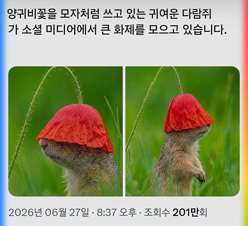 1000044186.jpg 1782977060_31cc30ea0fbc2b1b2fa9.jpg
