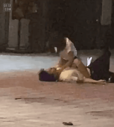 1783086759_e436ad290f7ef3d95c3d.gif