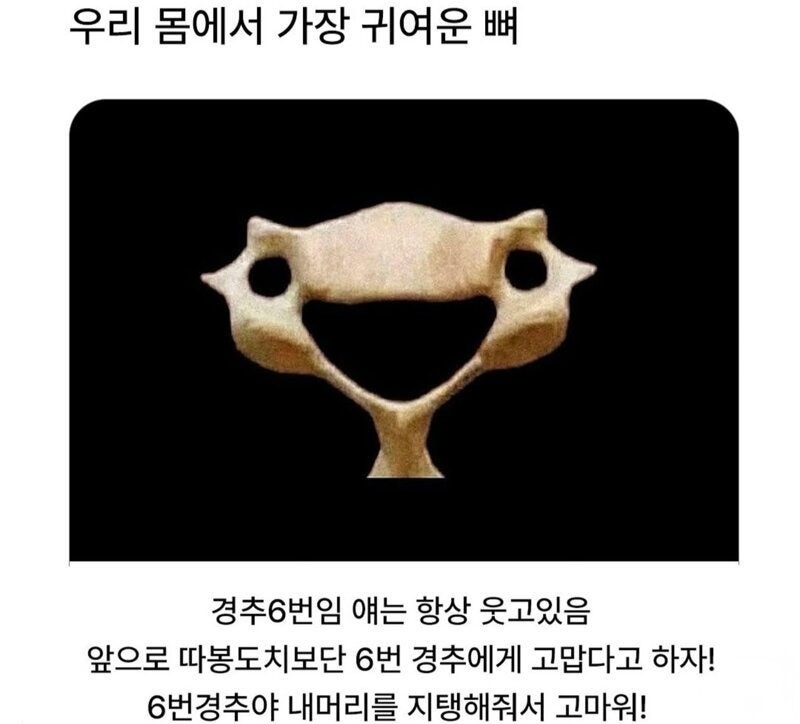 1783214653_855b1ce445bfb6450446.jpg