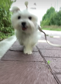 1785508262_a723beb8aac563cf3490.gif