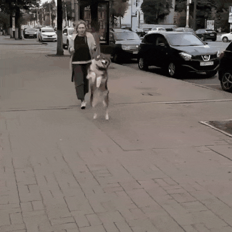 1785508271_e7022b44306203e8b340.gif