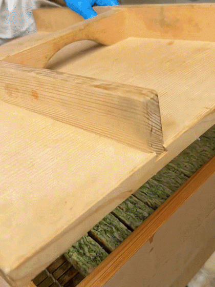 1785752085_ffa168e6470d33c0f2b1.gif