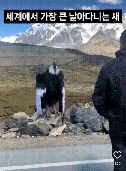 1785904921_4a6c86109412af015f88.gif