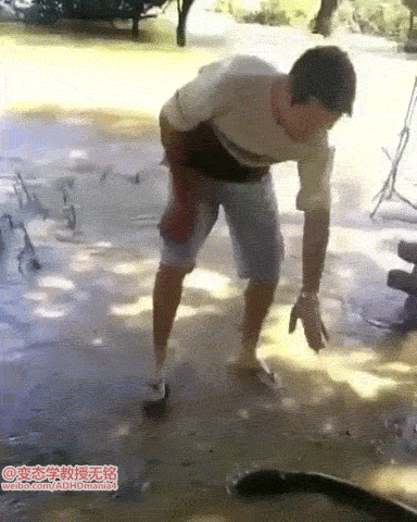 1786086360_89007f9c264eddd989e8.gif