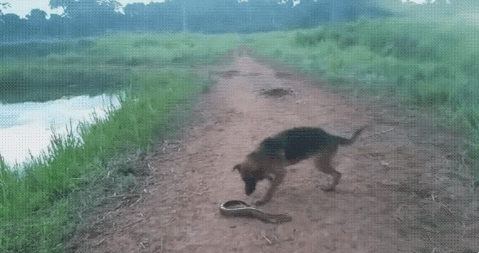 1786086380_ff5a442b7e7a1aca9b2a.gif