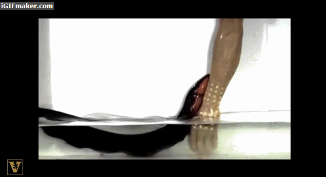1786086396_916297edffe9c12aee1c.gif