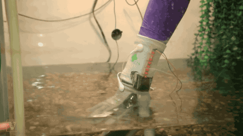 1786086399_2ef6a40307a8f9ae8110.gif