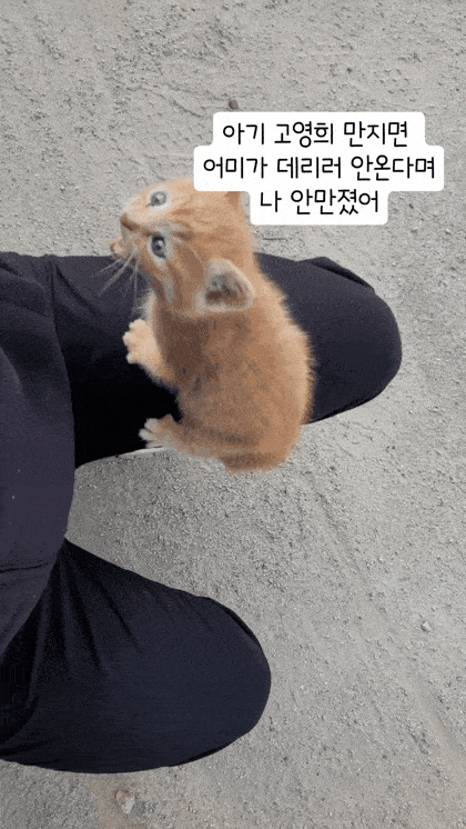 1786165289_4ea7a53e5338831bc388.gif