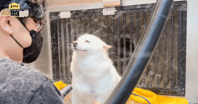 1786316995_e6f389d558af3980106b.gif