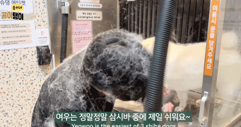 1786317001_a1cb2c6c3b9dd90c5bbf.gif