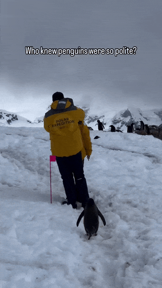1786438971_a2b66200f83a689ba8ff.gif