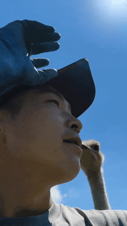 1786502755_7363380019ea05e79cbd.gif