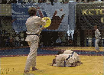 1786857744_ff80e1329f0f29e27269.gif