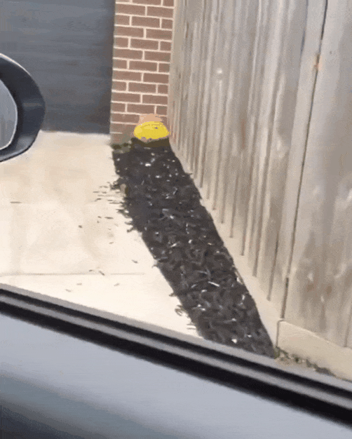 1786869478_4be28fdaf269c8e0fbe1.gif