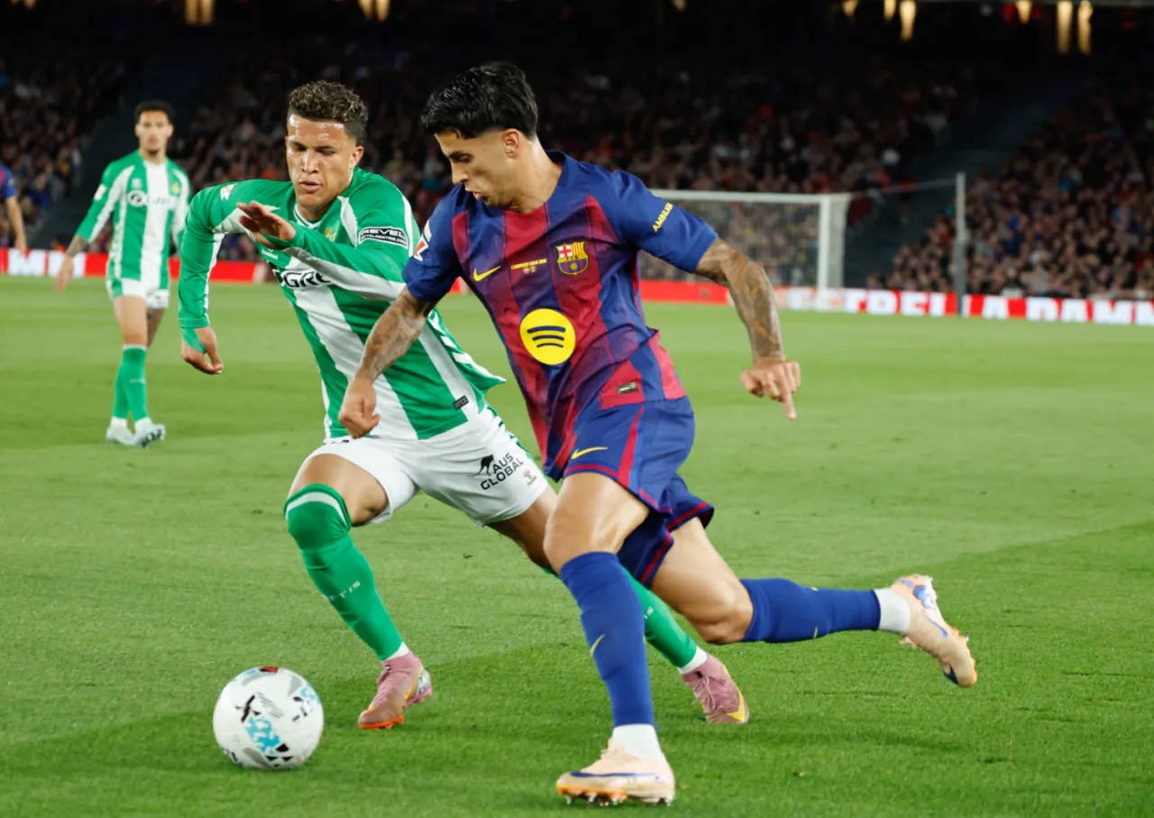 1786958583_e86d800e71356318c8cf.jpg