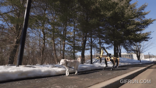 1787195433_11d9d9cd4a071d5a91c8.gif