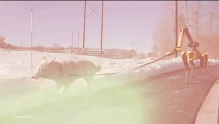1787195448_240532259d694ff20628.gif