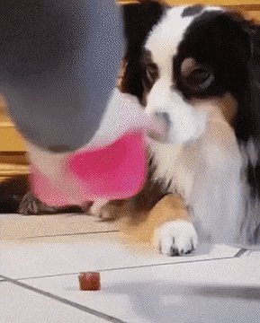 1787379004_90962ce6e50c81ccbb1f.gif
