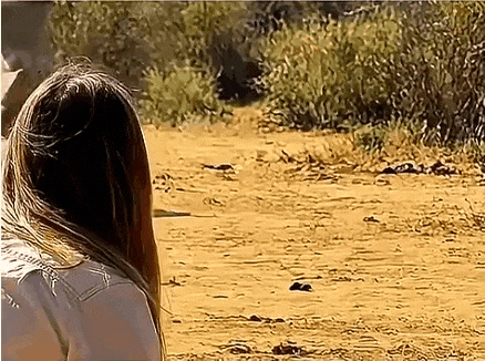 1787447668_48d80c52fec01043860a.gif