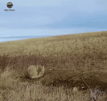 1787496628_ce6f00706d38976ae5a3.gif