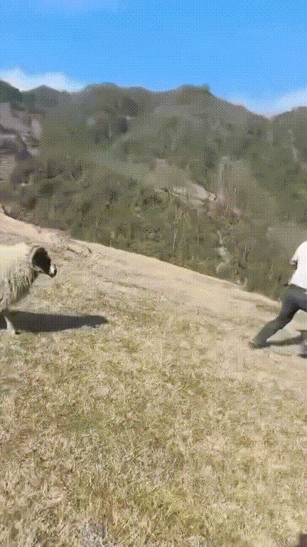 1787618352_ac4d7539f2e61e4fad82.gif