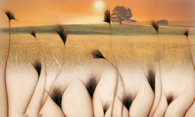 1787727672_4ce089967a802d3599d6.gif