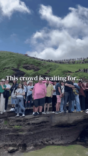 1000051728.gif 1787979646_9323f63021981a4c6b22.gif