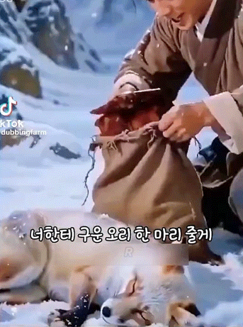 1788147767_d0320475f0bae6b156cb.gif