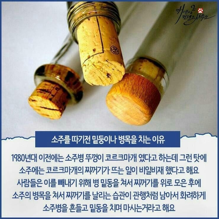 1788323819_ec95696dd88d37f53625.jpg