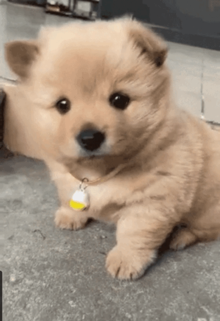 1788498061_3b03c263f2aff61e237c.gif