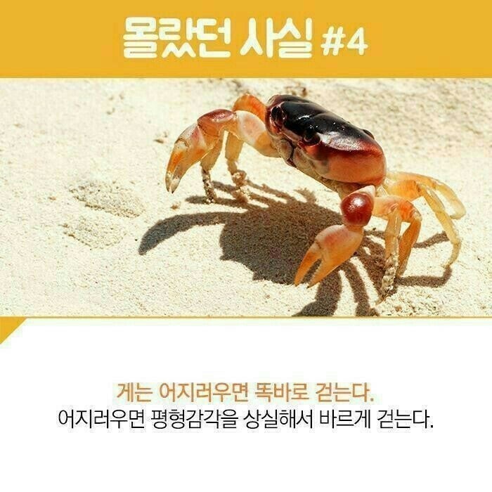 1000053036.jpg 1788579477_8973ae4b52347b8b7835.jpg