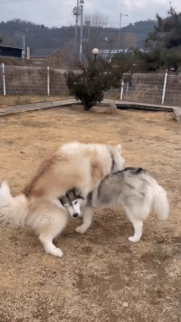1789559306_8b5c34122f8aa69bc913.gif