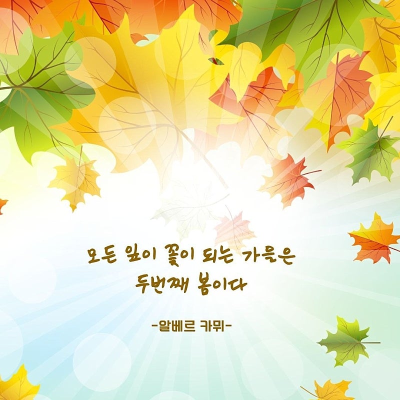 1789623251_051b17178fb8b7ddae62.jpg