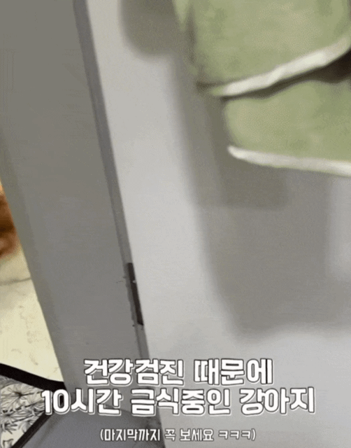 1789709800_dfc7478208ed94e17cad.gif