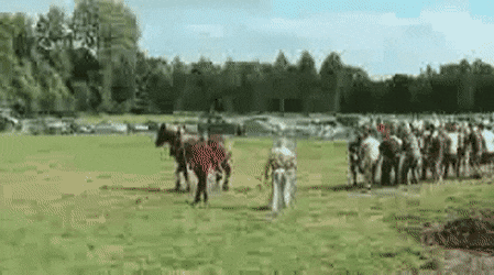 1789738537_1611cf52c050f4f765f5.gif