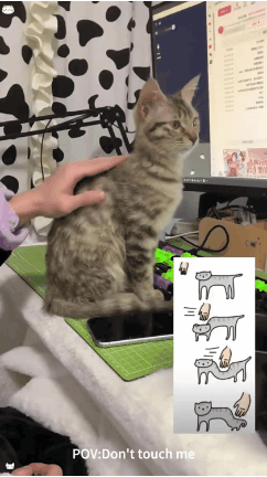 1789947384_c24660c377e625c8e09e.gif
