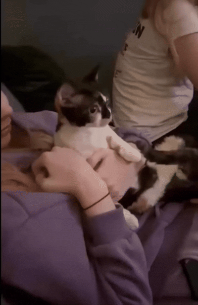 1789947422_52048d6f66f82695b03b.gif