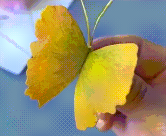 1789952597_70a8e3bd4d1198acb235.gif