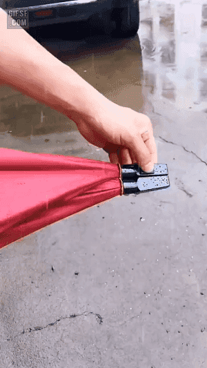 1789984428_14589fc41d59b57e21ea.gif