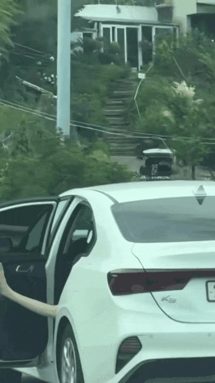 1789984504_b684830658ed3e6622ad.gif