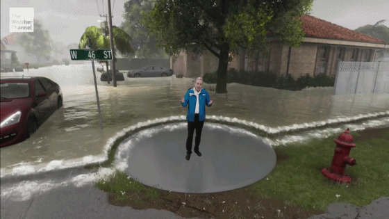 1790117625_43638f5af01f20fd246f.gif