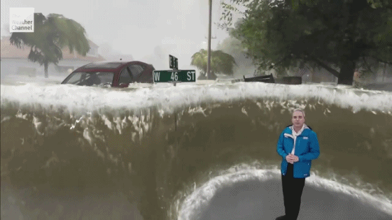 1790117636_6a62e748240a5b8d49c0.gif