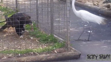 1790138885_bfea595838d30a87bc16.gif