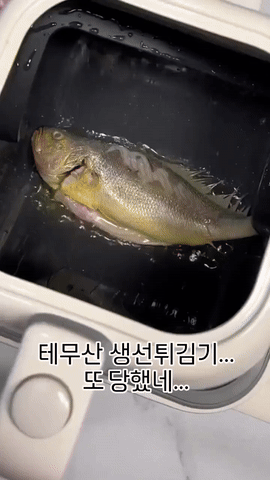 1790258922_fb65cb8843fd670f144a.gif