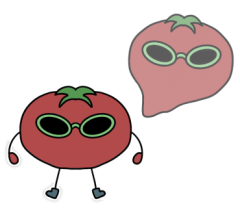 1790397804_4e689bc166f1ea85887f.png