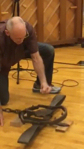 1790432671_f0f52330490c4886a20f.gif