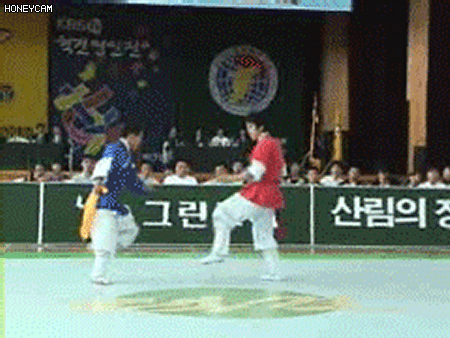 1790466490_7f777b3093d87006d45b.gif